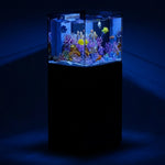 37 Gallon Aquarium Coral Reef Ultra Clear Glass Tank & Built in Sump All Black