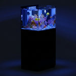 50 Gallon Coral Reef Aquarium Ultra Clear Glass Tank & Built in Sump All Black