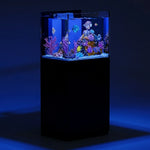 63 Gallon All-in-One Reef Aquarium | Ultra-Clear Low-Iron Glass Tank with Built-in Sump Filter System – All Black Rimless Design, 40 Gal Tank + 23 Gal Sump, Complete Plumbing Included