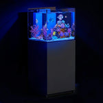 Acuario Arrecife Todo en Uno de 63 Galones | Tanque de Vidrio de Bajo Contenido en Hierro Ultra Claro con Sistema de Filtración Sump Incorporado – Diseño sin Marco Plateado, Tanque de 40 Gal + Sump de 23 Gal, Plomería Completa Incluida