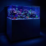 Acuario de Arrecife Todo en Uno de 220 Galones con Gabinete y Sumidero Incorporado | Pecera de Vidrio de Bajo Contenido de Hierro Ultra Transparente — Lista para Agua Salada y Dulce, Totalmente Negra