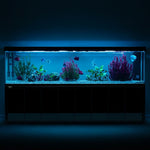 Pecera Aqua Dream de 600 galones, acuario de cristal templado negro