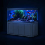 Aqua Dream 235 Gallon Tempered Glass Tanks Aquarium White & Silver with Premium Filtration System
