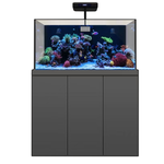 Acuario completo de arrecife de coral de 175 galones con dos luces para corales y un espumador de proteínas