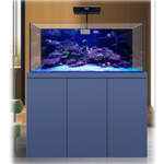 Acuario completo de arrecife de coral de 175 galones con dos luces para corales y un espumador de proteínas