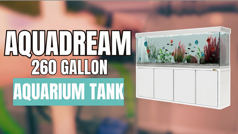 260 Gallon Fish Tank