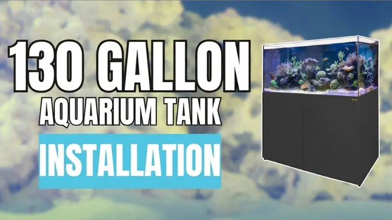 How to Install the Coral Reef Aquariums