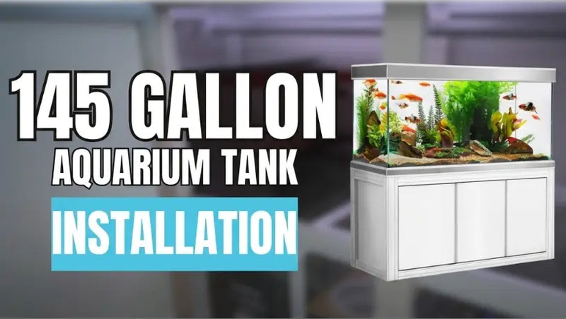 How to install the filtration system & overflow box